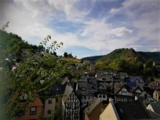 Zum Froehlichen Weinberg Hotel Cochem Luaran gambar